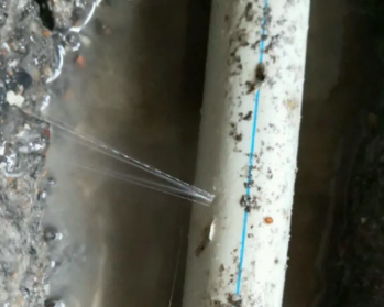 高台卫生间测漏水多少钱