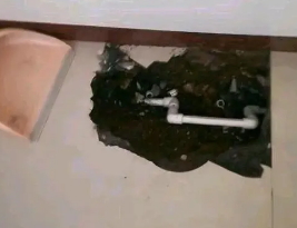 高台卫生间测漏水多少钱